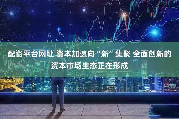 配资平台网址 资本加速向“新”集聚 全面创新的资本市场生态正在形成