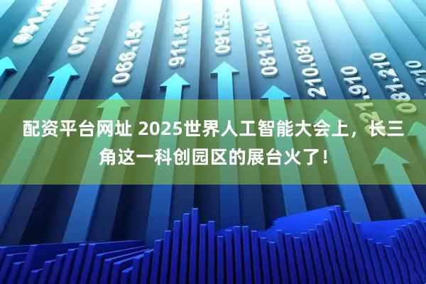 配资平台网址 2025世界人工智能大会上，长三角这一科创园区的展台火了！