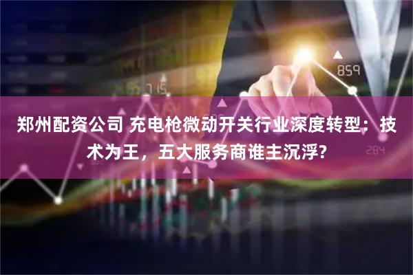 郑州配资公司 充电枪微动开关行业深度转型：技术为王，五大服务商谁主沉浮?